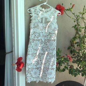 Betsy & Adam Lace Cocktail Dress